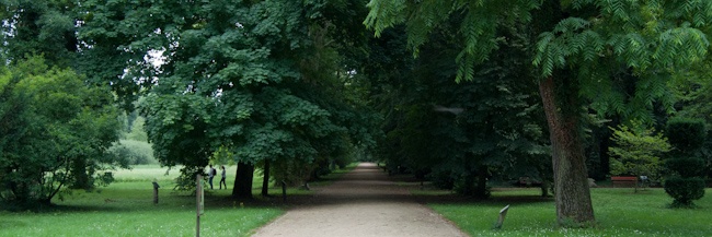 Ścieżkami arboretum.